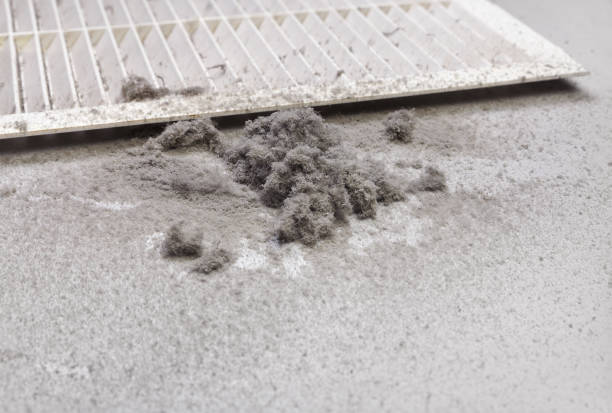 Best Duct Cleaning for Offices  in Custer, SD