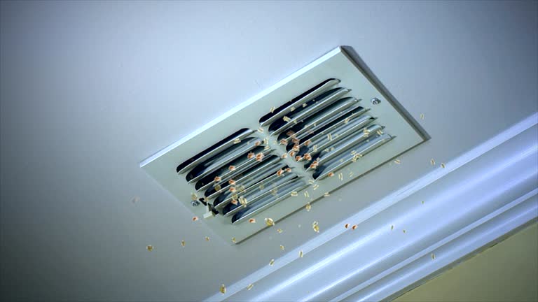 Best Professional Duct Cleaning Services  in Custer, SD